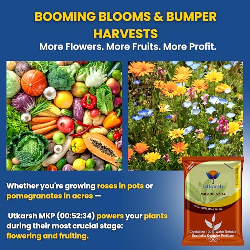 Utkarsh MKP 00 52 34 - Mono Potassium Phosphate, 100% Water Soluble Foliar Spray Nutrition | NPK Fertilizers for Growth, Flowering & Fruiting in Plants, Home Garden (900 gm; Pack of 1) - Image 2