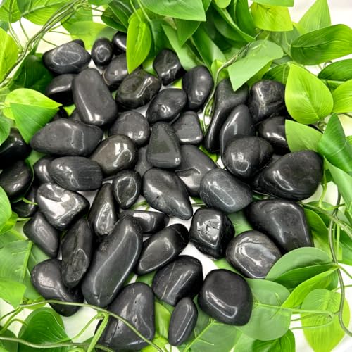 PGN Bearings PGN Black River Rocks for Plants - 5 Pounds - Black Rocks with Smooth, Polished Surfaces - 1-3 Inch Stones for Planters, Aquarium Decorations, Vase, Fireplace, Landscaping, Outdoor Décor - Image 3