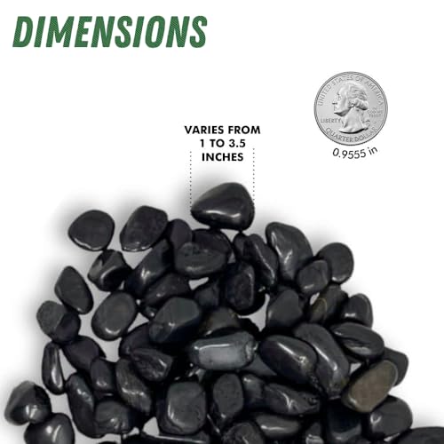 PGN Bearings PGN Black River Rocks for Plants - 5 Pounds - Black Rocks with Smooth, Polished Surfaces - 1-3 Inch Stones for Planters, Aquarium Decorations, Vase, Fireplace, Landscaping, Outdoor Décor - Image 4