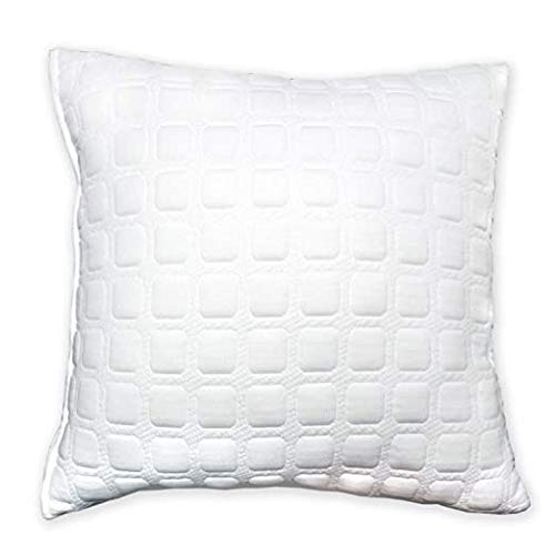 dream FACTORY Dreamfactory 400 GSM Knitted Fabric Soft Fluffy Sleeping Pillow (12x12 - PC1) - Image 1