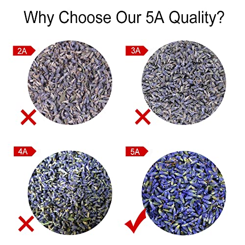 TEARELAE - Premium Dried Lavender Flowers - 5A Top Grade - 100% Pure Natural Edible Flowers Culinary Dried Lavender Buds - for Baking, Tea, Soap, Bath Bombing, Candle and Sachets - 3oz/85g - Image 3