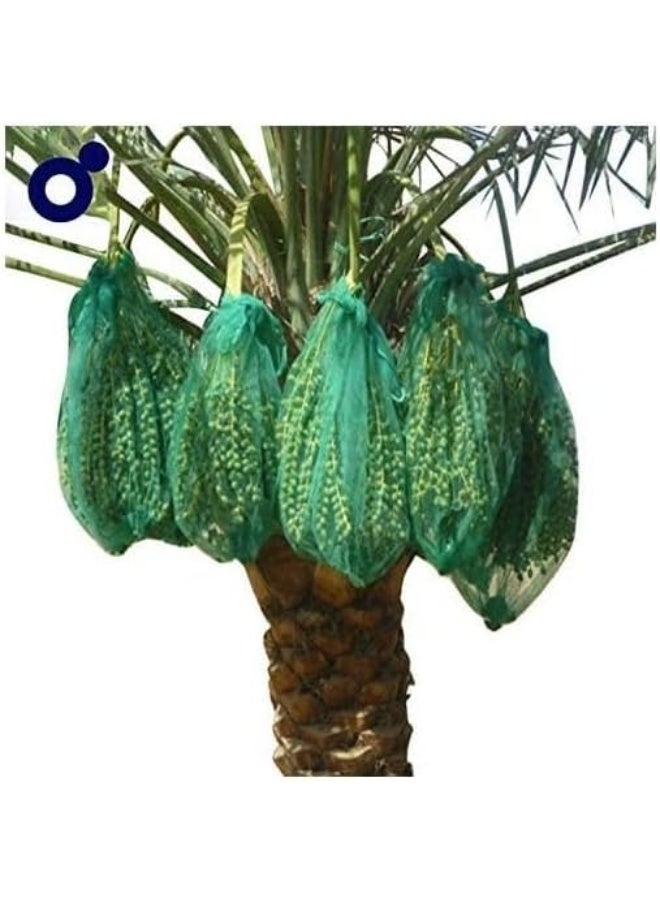 حقيبة نخيل مونو (70 سم × 50 سم) 25 قطعة