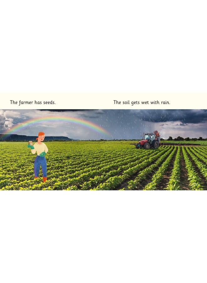 Food on the Farm: Band 02B/Red B  - Image 2