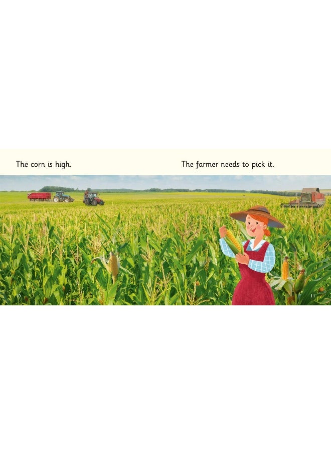 Food on the Farm: Band 02B/Red B  - Image 3