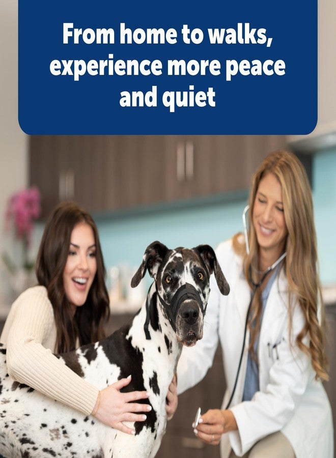 بيت سيف كمامة PetSafe للكلاب - متوسطة، سوداء - حشوة مريحة - مقاس قابل للتعديل للكلاب الصغيرة والمتوسطة والكبيرة - تمنع العض - تسمح بمساحة كافية للهث - مثالية لزيارات الطبيب البيطري أو مصفف الشعر - Image 5
