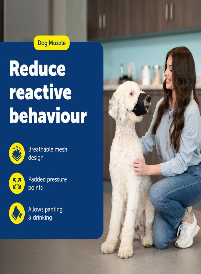 بيت سيف كمامة PetSafe للكلاب - متوسطة، سوداء - حشوة مريحة - مقاس قابل للتعديل للكلاب الصغيرة والمتوسطة والكبيرة - تمنع العض - تسمح بمساحة كافية للهث - مثالية لزيارات الطبيب البيطري أو مصفف الشعر - Image 2