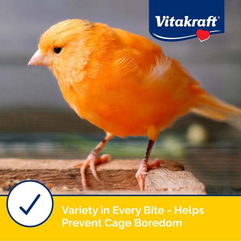 Vitakraft Menu Premium Canary and Finch Food - Vitamin-Fortified - Daily Food for Small Pet Birds Browns 2.5 Pound (Pack of 1) - Image 3