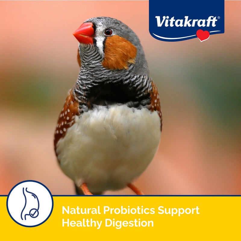 Vitakraft Menu Premium Canary and Finch Food - Vitamin-Fortified - Daily Food for Small Pet Birds Browns 2.5 Pound (Pack of 1) - Image 4