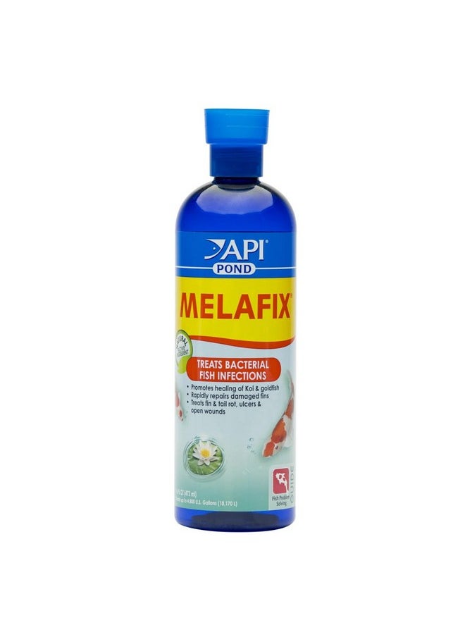 API API POND MELAFIX Pond Fish Remedy 16-Ounce Bottle  - Image 1