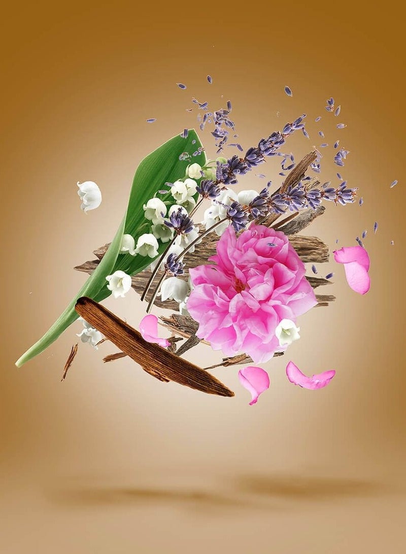 Xerjoff Oud Stars Alexandria II EDP 50ml - Image 4