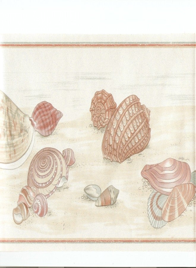 Berkley Sea Shell Wallpaper Border Pattern Number: DP5123B