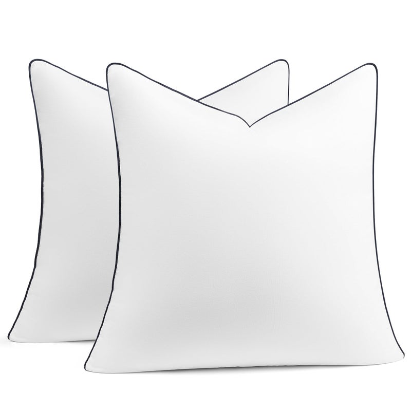 puredownÂ® 20x20 Pillow Inserts Set of 2, Fluffy Overfilled Down Alternative Decorative Pillows, Soft Plush Throw Pillows for Couch, Sofa, Bed and Home Decor - Image 1