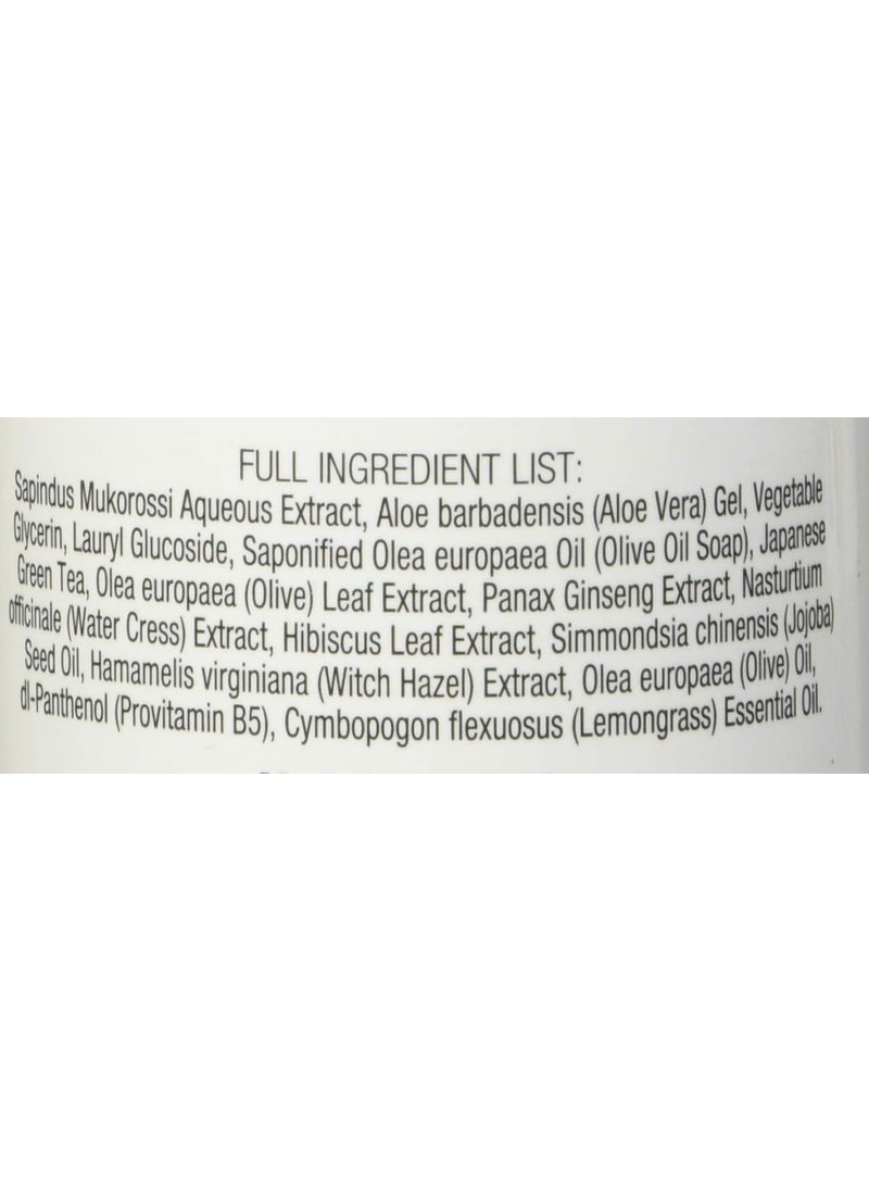 naturoli Soap Berry Shampoo  Normal to Oily 16oz  All Natural Hair Care Sulfate Free  Made with Soap Berries  Gluten Free  Vegan  - Image 4