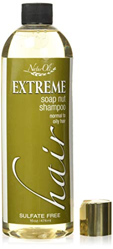 NaturOli Soap Berry Shampoo - Normal to Oily 16oz - All Natural Hair Care Sulfate Free - Made with Soap Berries - Gluten Free - Vegan - Image 1