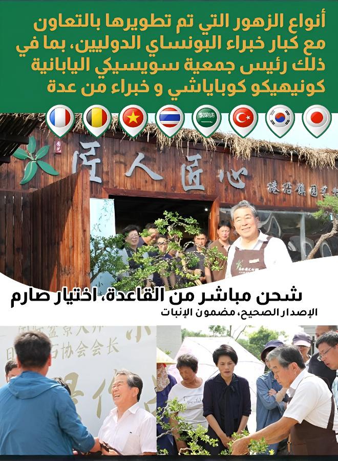 (يوصي بها البستانيون) مجموعة زهور موسمية لجميع أنواع التربة - Image 2