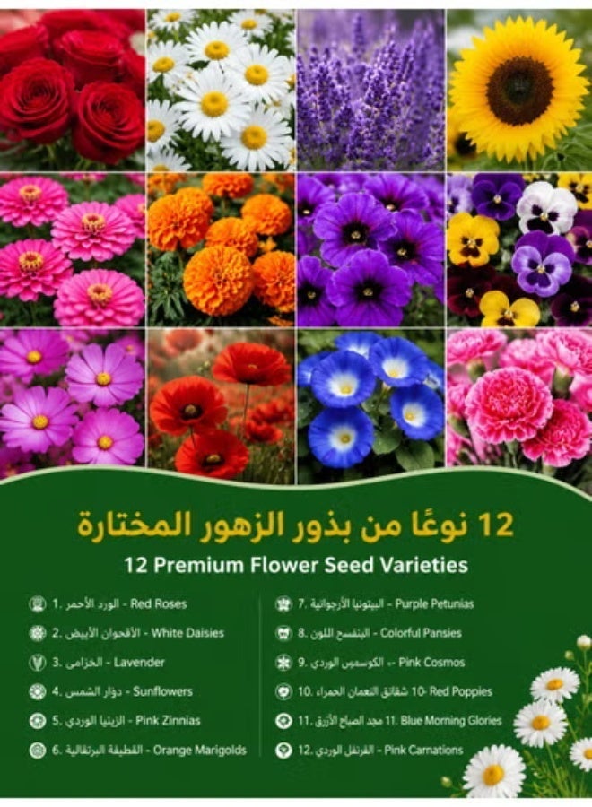 (Recommended by Gardeners) Seasonal Flower Collection for All Soil Types - Image 1