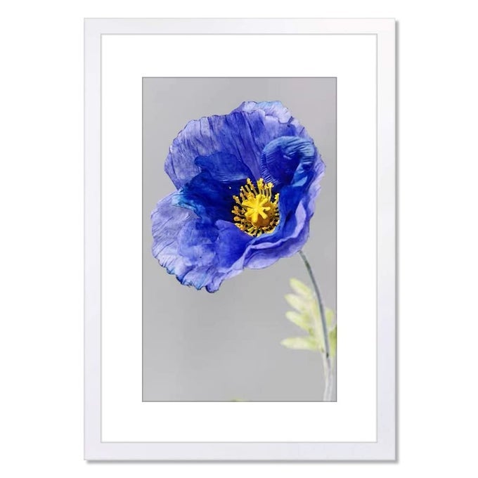 14X22 FRAME WHITE PERFECT FOR 14X22 INCH PICTURE WITHOUT MAT OR 12X18 INCH PICTURE WITH MAT HOME WALL DECOR PICTURE FRAME1 PCS