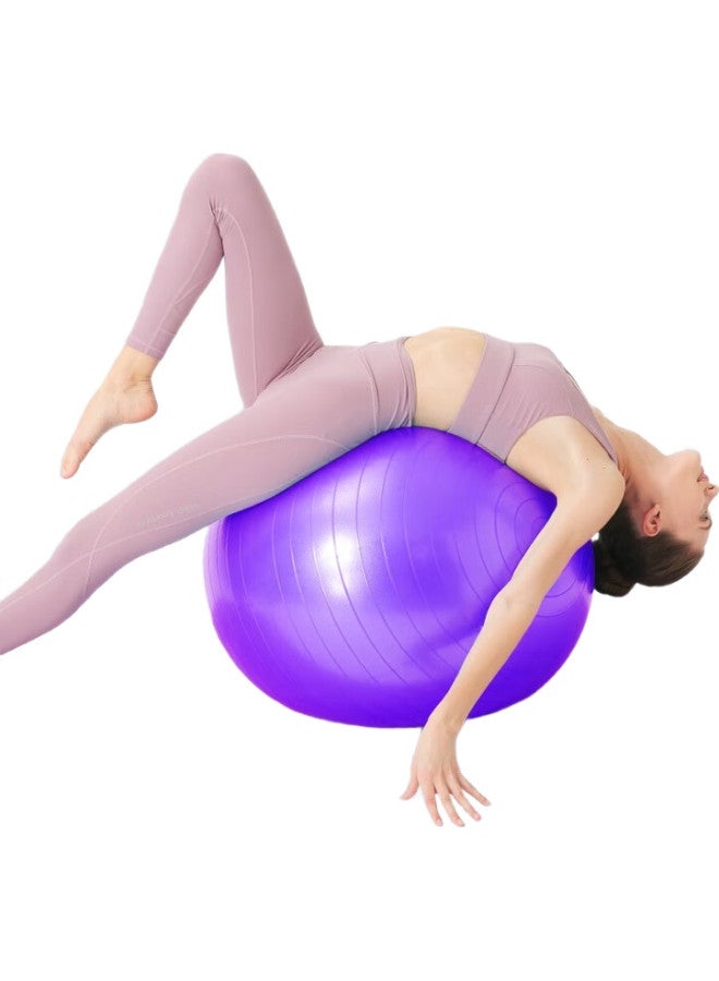 Dweck Yoga Ball, Thickened Non-Slip Elastic Adult Fitness Ball, Professional Balance Core Training, Purple, 55Cm - Image 3