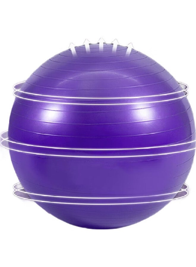 Dweck Yoga Ball, Thickened Non-Slip Elastic Adult Fitness Ball, Professional Balance Core Training, Purple, 55Cm - Image 2
