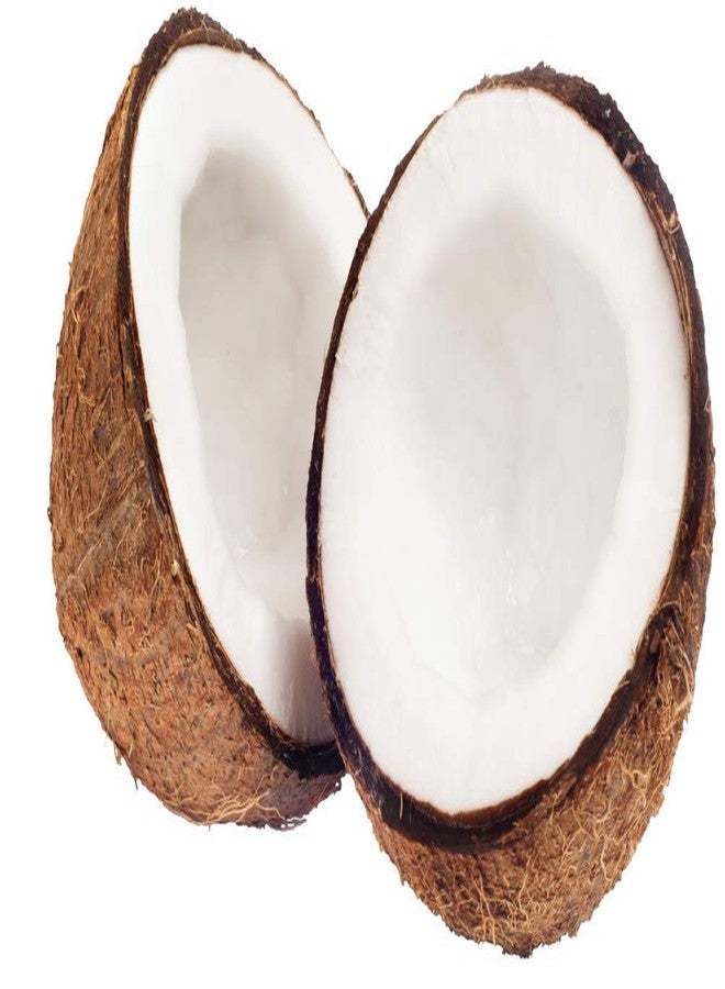 cocojojo Pure Fractionated Coconut Oil - 100% Pure, Natural, Vegan, Fractionated, C8 C10 From Coconut Fruit, Not Palm - Perfect for Skin, Face, Hair, Nails, DIY, Essential Oils, Cosmetics - (8 oz) - Image 3
