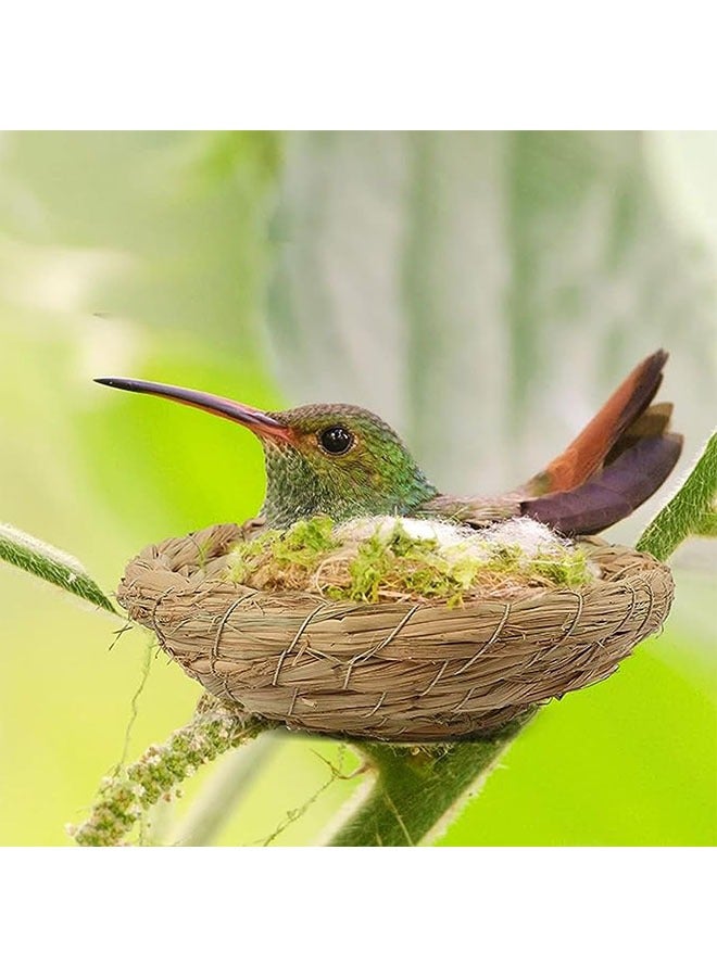 جيوستوس 4 PCS Bird Nest ، عش التكاثر المصنوع يدويًا ، عش الطائر المسطح المنسوج ، قفص منزل هاتش ، إكسسوارات قفص الطيور ، منزل سرير حيواني للحمام حمامة ببغاء الهامستر جيربيل شينشيلاس - Image 3