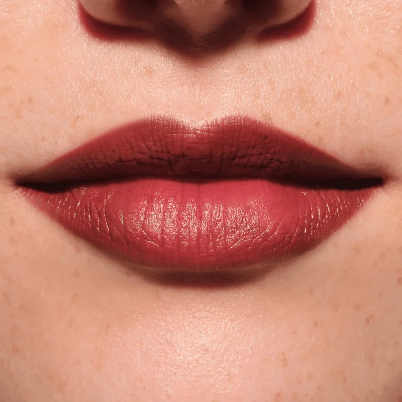 Catrice Lip Artist Matte Lipstick & Liner 040