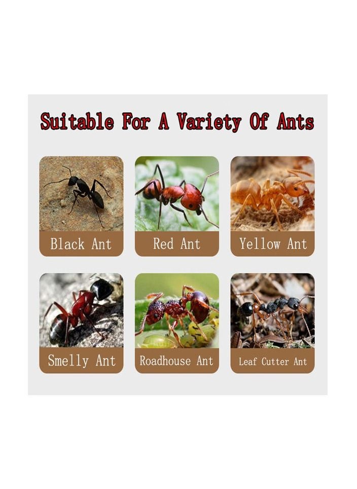 Generic - 1-Bag 3G Powerful Ant Bait Agent, Special Effect Indoor and Outdoor Low Toxicity and Odorless Bait Powder - Image 1