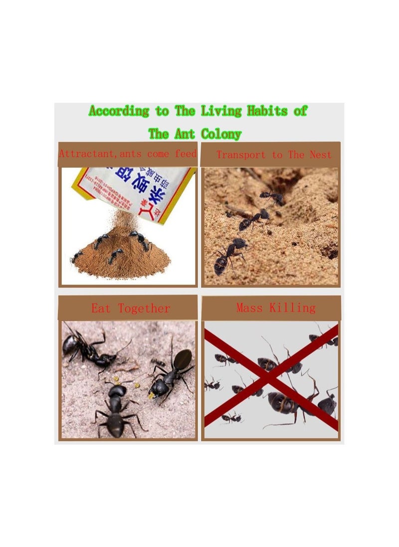 Generic - 1-Bag 3G Powerful Ant Bait Agent, Special Effect Indoor and Outdoor Low Toxicity and Odorless Bait Powder - Image 1