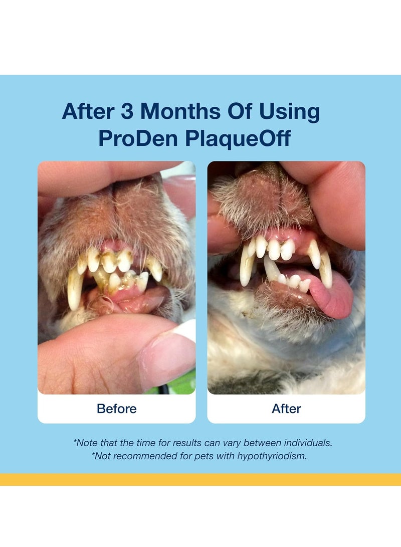 ProDen PlaqueOff 120 Soft Chews Natural Plaque Tartar and Bad Breath Remover for Small or Medium Dogs Works Systemically Not by Abrasion or Chewing - Image 3