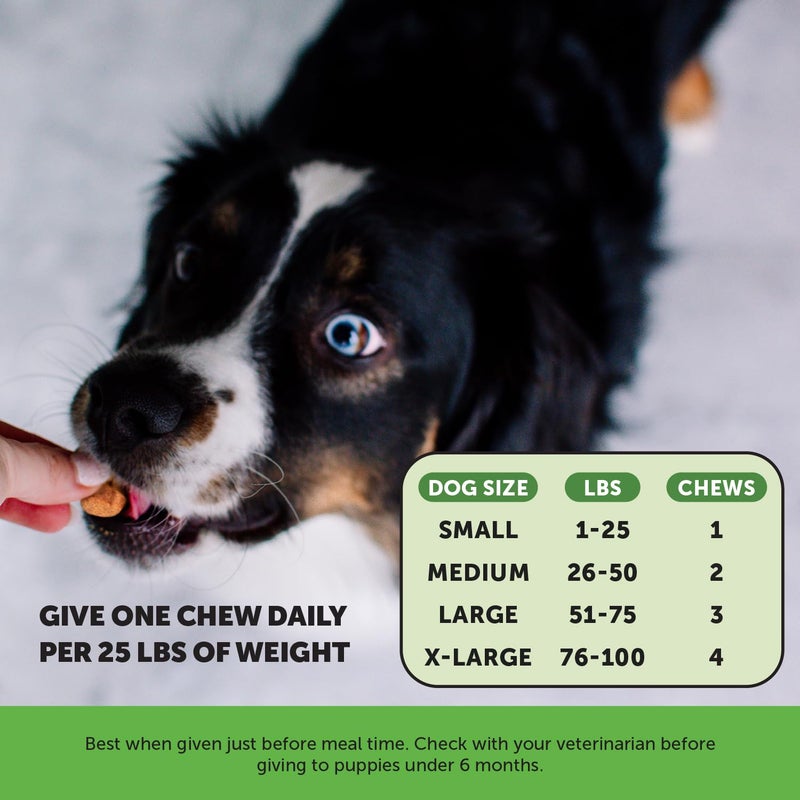Pet Honesty صحة المثانة من التوت البري للكلاب - يحتوي على مكونات نشطة - التوت البري و D-مانوز لدعم صحة الجهاز البولي للكلاب، دعم المثانة للكلاب، ودعم الكلى للكلاب (لحم مقدد) - Image 5