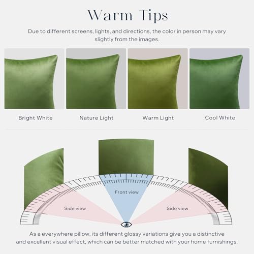 Phantoscope Pack of 2 Velvet Decorative Throw Decorative Pillow Cover Soft Solid Square Cushion Case for Couch Green 26 x 26 inches 65 x 65 cm - Image 5