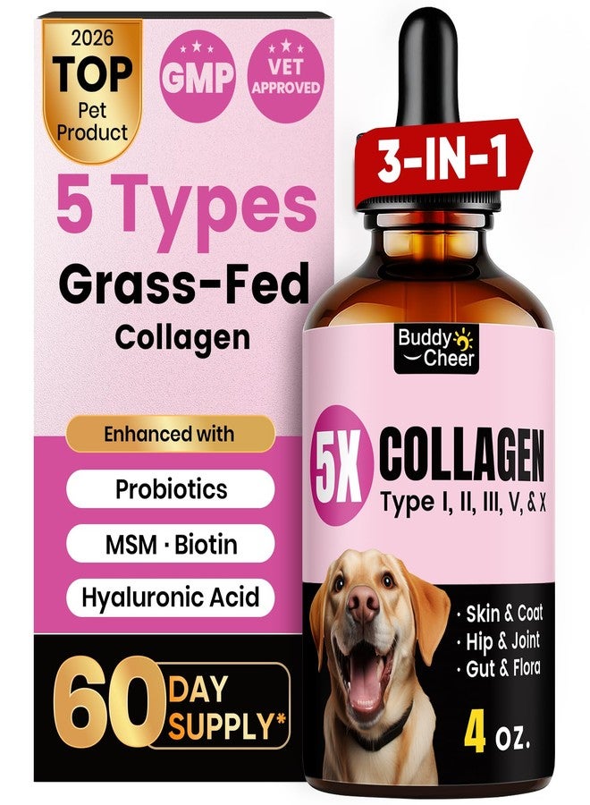 BuddyCheer Premium Collagen for Dogs & Cats – 5 Types of Grass-Fed Collagen (I, II, III, V & X), Fast Allergy & Itch Relief Dog Colágeno with MSM, Biotin & Hyaluronic Acid – Supports Healthy Skin & Joints –120ml - Image 1