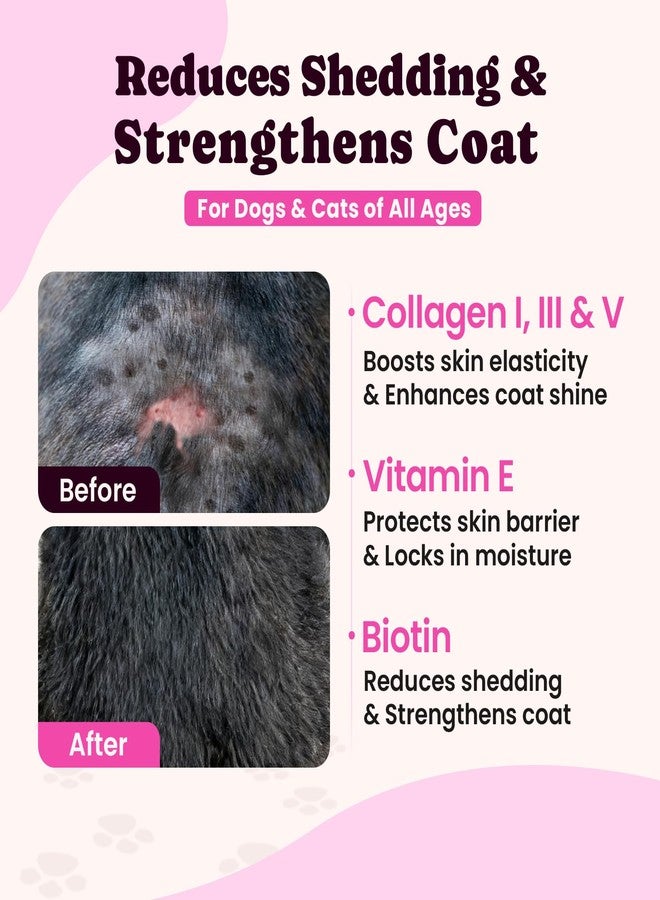 BuddyCheer Premium Collagen for Dogs & Cats – 5 Types of Grass-Fed Collagen (I, II, III, V & X), Fast Allergy & Itch Relief Dog Colágeno with MSM, Biotin & Hyaluronic Acid – Supports Healthy Skin & Joints –120ml - Image 4