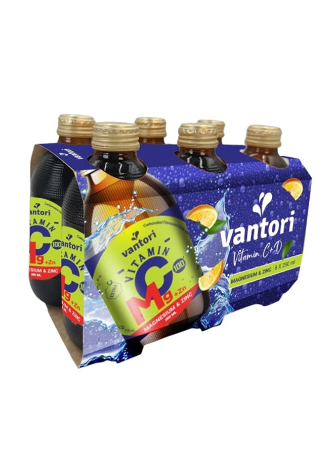 Vantori مشروب فانتوري فيتامين سي + مغنيسيوم + زنك، معزز المناعة والطاقة بنكهة البرتقال الطبيعية، مكمل صحي يومي 250 مل عبوة من 6 - Image 1