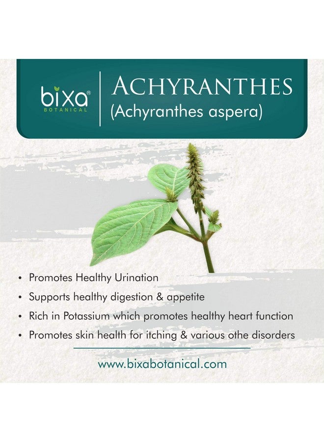 bixa BOTANICAL Achyranthes Aspera Powder | Apamarga ǀ Ayurvedic Herbal Supplement | 200 Grams / 7 OZ | Gluten Free, Non-GMO, Steam Treated, Vegan, 100% Pure. - Image 2