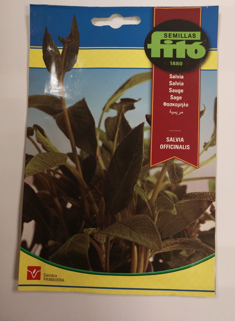 Fito Seed Salvia Multicolour 100g
