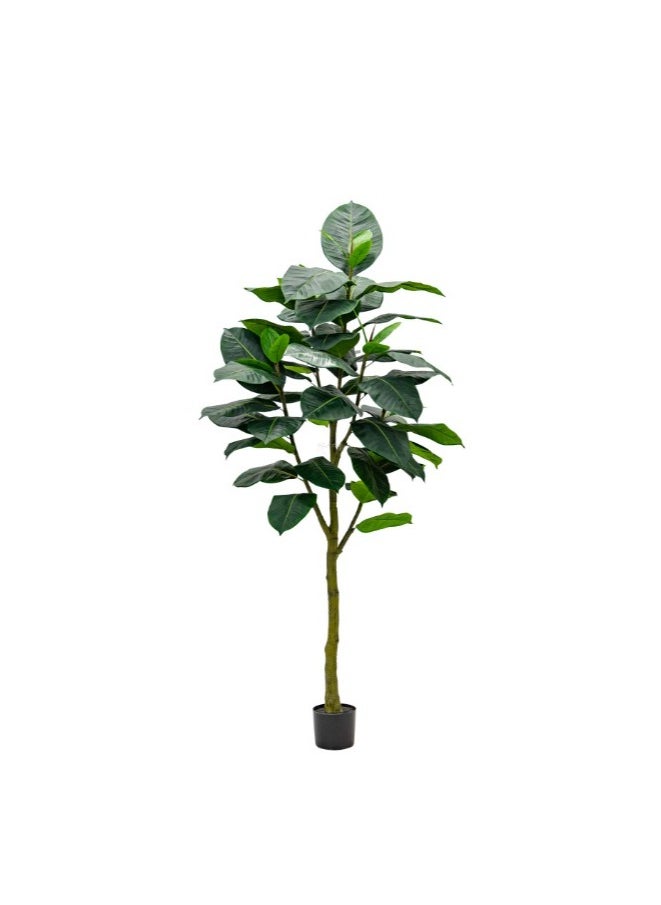 HRT WALL Artificial Ficus Elastica Abidjan 210cm - green 