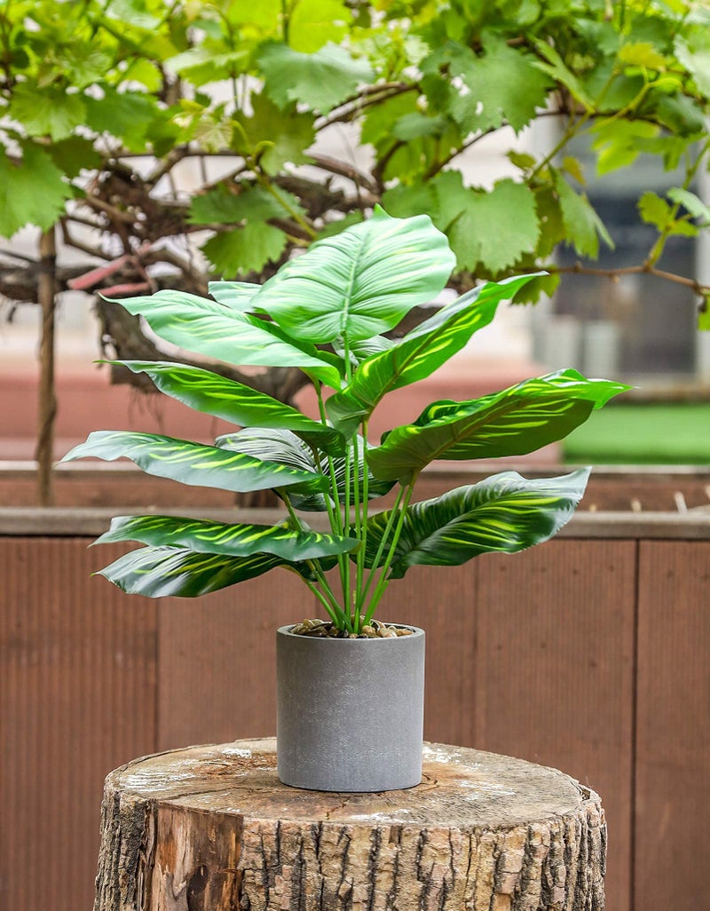 WUKOKU 2 pcs 16" Fake Plants Medium Artificial Plants in Pots Faux Plants Indoor for Home Office Bedroom Desk Kitchen Windowsill Sage Green Decor - Image 2