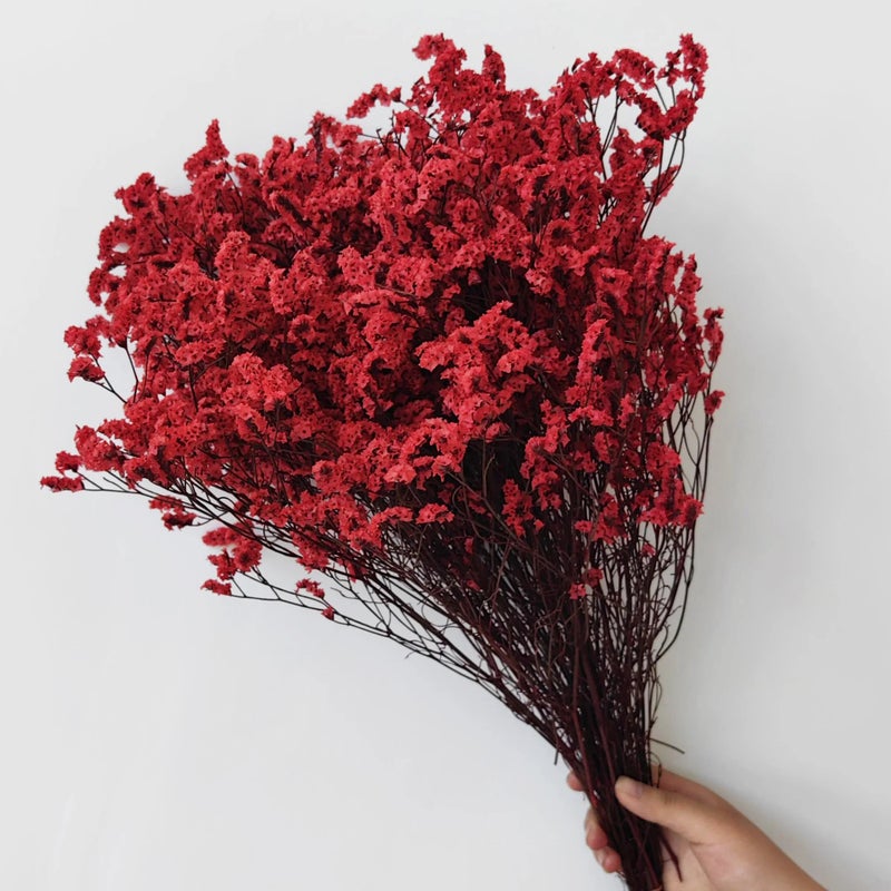 Bluejw Preserved Limonium Dried Flowers – Eternal Crystal Grass Decorative Dried Plants for Home Decor, Long-Lasting Natural Bouquet Arrangements - Image 3