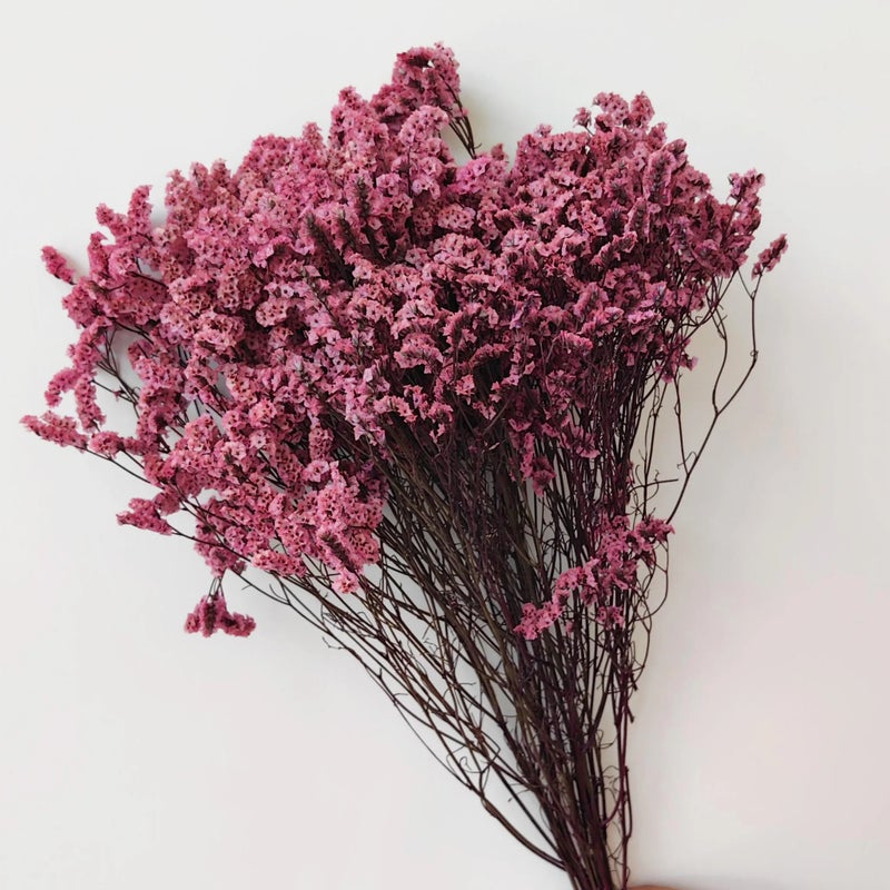 Bluejw Preserved Limonium Dried Flowers – Eternal Crystal Grass Decorative Dried Plants for Home Decor, Long-Lasting Natural Bouquet Arrangements - Image 1