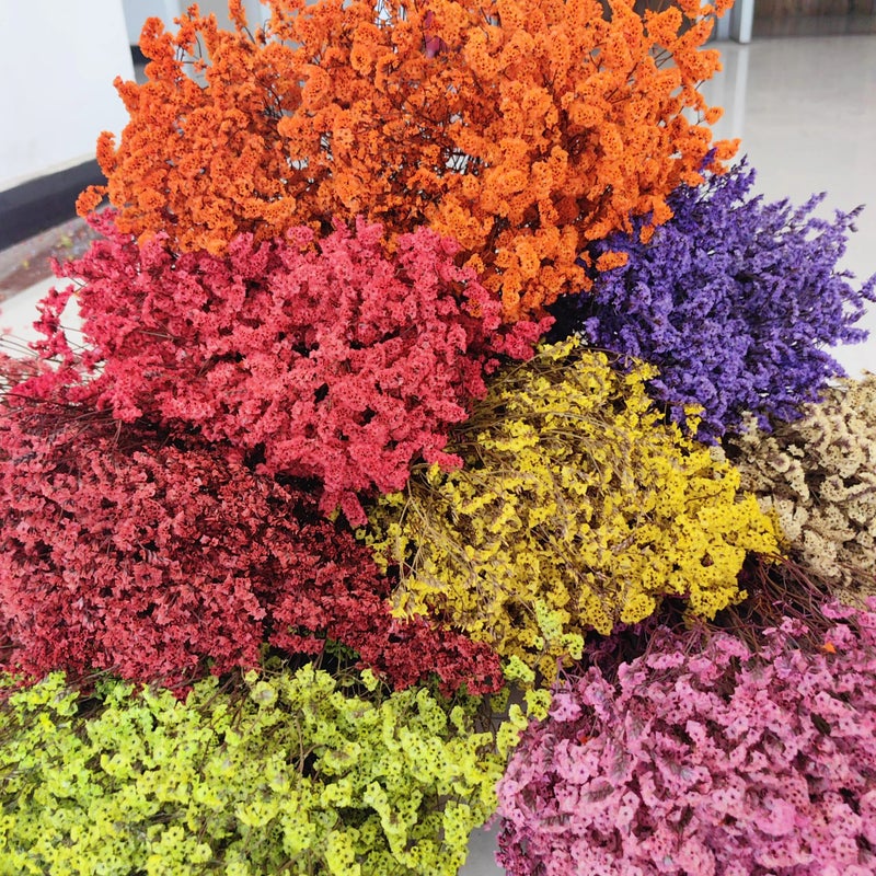 Bluejw Preserved Limonium Dried Flowers – Eternal Crystal Grass Decorative Dried Plants for Home Decor, Long-Lasting Natural Bouquet Arrangements - Image 2