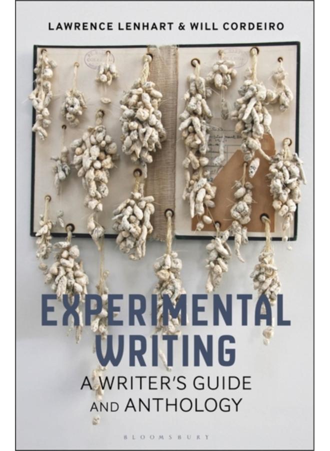 Experimental Writing : A Writer's Guide and Anthology