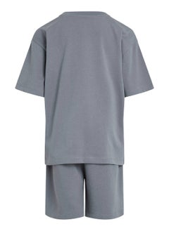 Kids' Relaxed T-Shirt and Shorts Set - Cotton, Grey - pzsku/Z7688F86F07F13169EBBCZ/45/_/1738050906/d7f1064e-0294-4e3f-8a3f-d9a1308e02a4