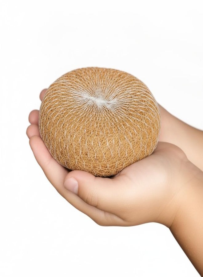 Natural Coconut Loofah (Pack of 2) - Handmade Exfoliating Body Scrubber - Deep Cleaning Bathing Scrub for All Skin Type - Image 1