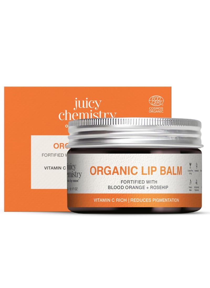 Juicy Chemistry - Juicy Chemistry Organic Lip Balm - 5g, Enriched With Orange And Rosehip - Image 1