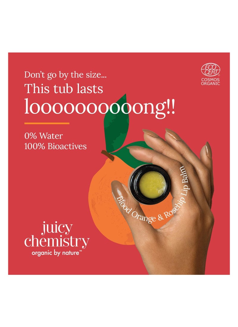 Juicy Chemistry - Juicy Chemistry Organic Lip Balm - 5g, Enriched With Orange And Rosehip - Image 1