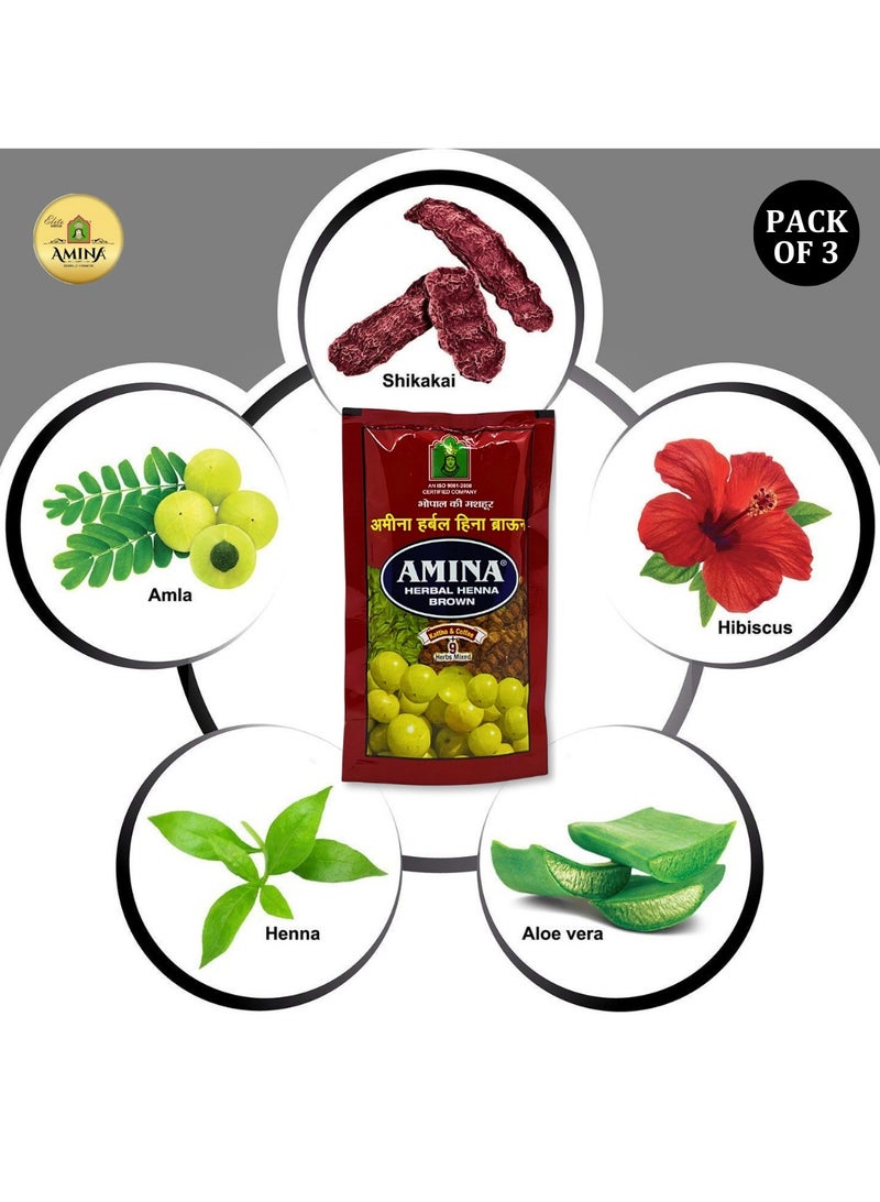 Amina Natural Brown Herbal Henna Powder For Hair Color, Natural Black Hair, Herbal Conditioning Hair Dye for Silky & Shiny Soft Hair Colour for Men & Women (150 Gms x Pack Of 3) - Image 3