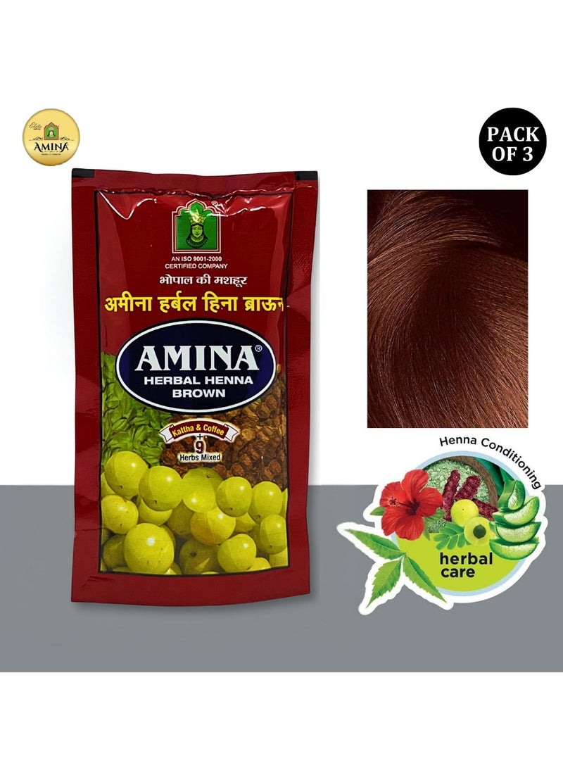 Amina Natural Brown Herbal Henna Powder For Hair Color, Natural Black Hair, Herbal Conditioning Hair Dye for Silky & Shiny Soft Hair Colour for Men & Women (150 Gms x Pack Of 3) - Image 1