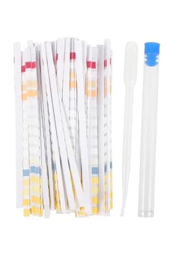 100 Pack Water Test Strips with Tube Dropper Fast Accurate for Home Office Restaurant - Image 1