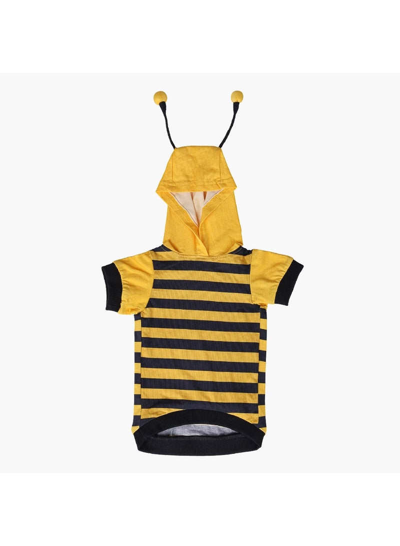 Home Box Feline Bee Hoodie 27 x 21 x 21 cm - Image 1